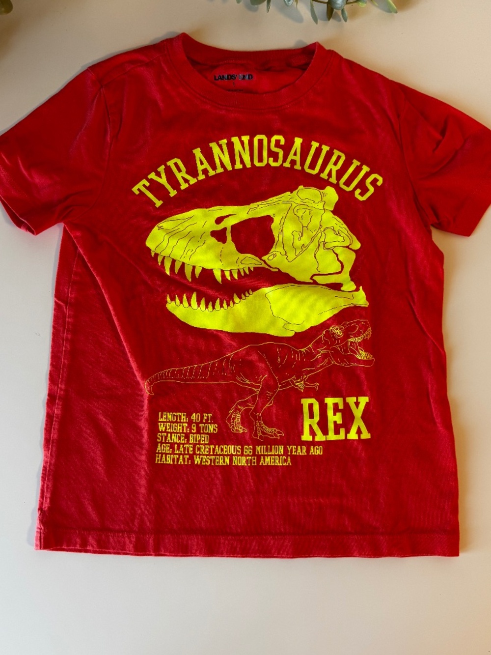 Boys Dinosaur T-Shirt Bundle Lands' End & Old Navy Size 6/7 - Picture 5 of 7